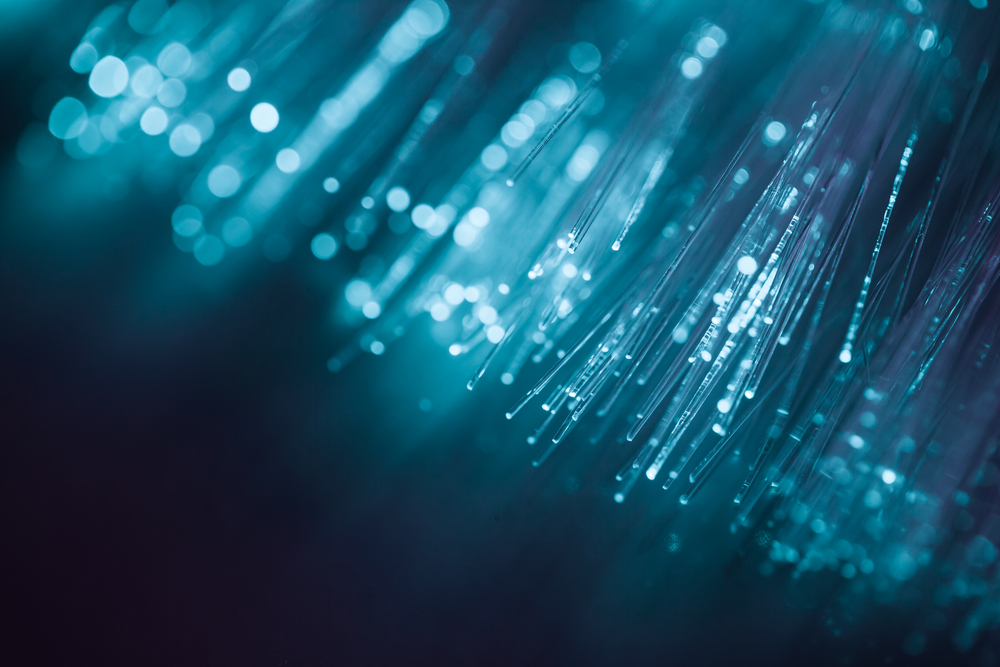 What is a Fiber Optic Backbone Network?